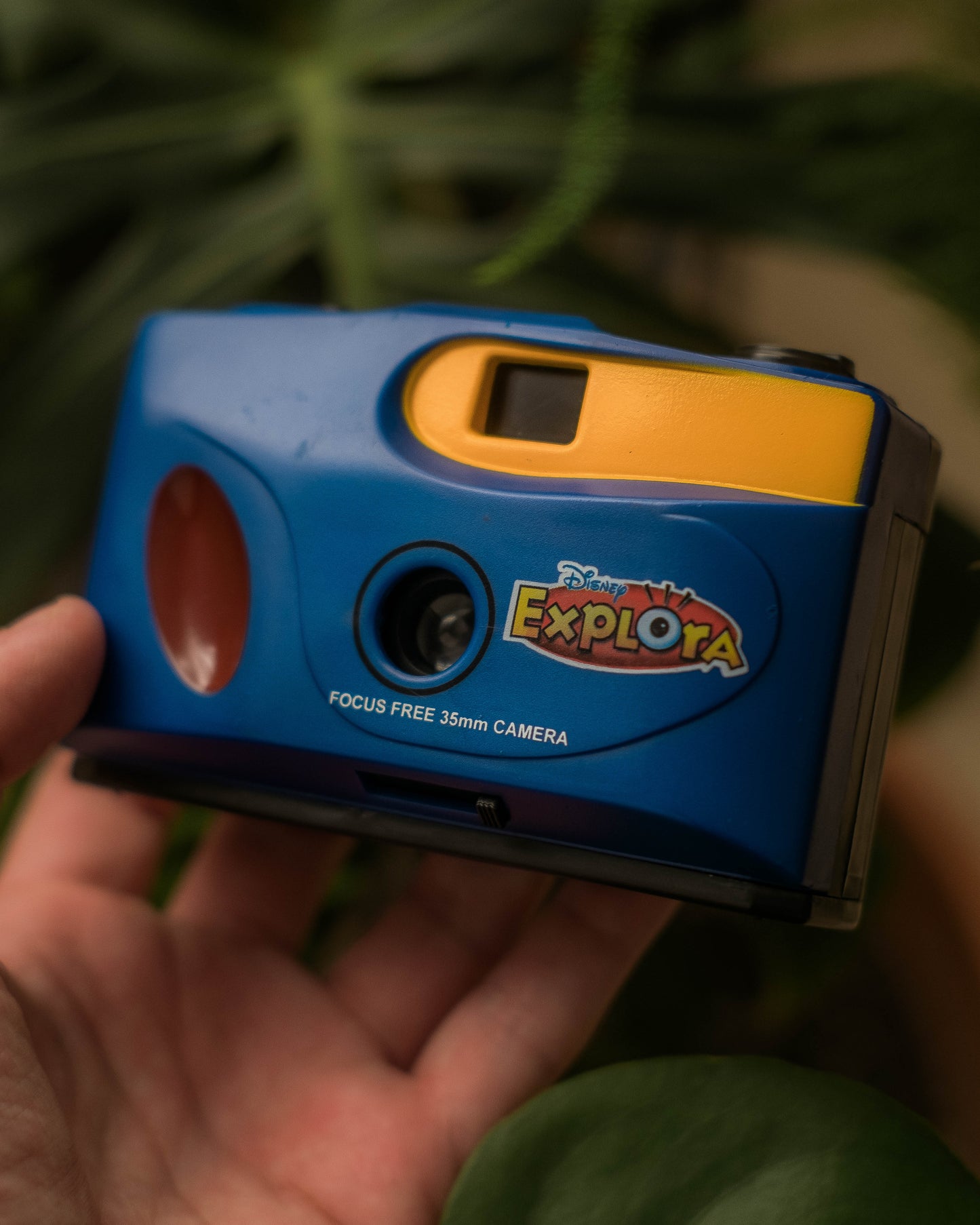 Disney Explora