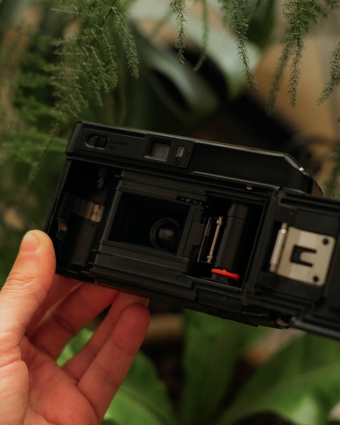 Canon Sure Shot AF35M II