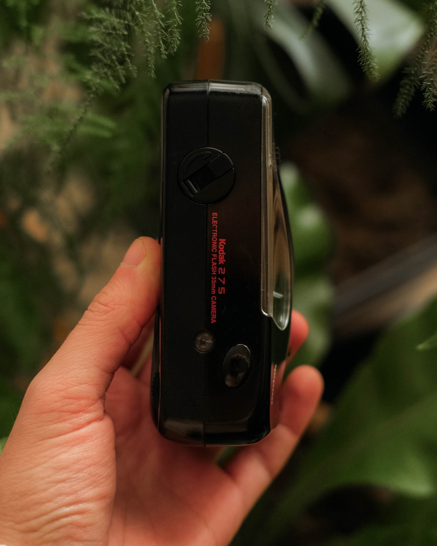 Kodak Star 275