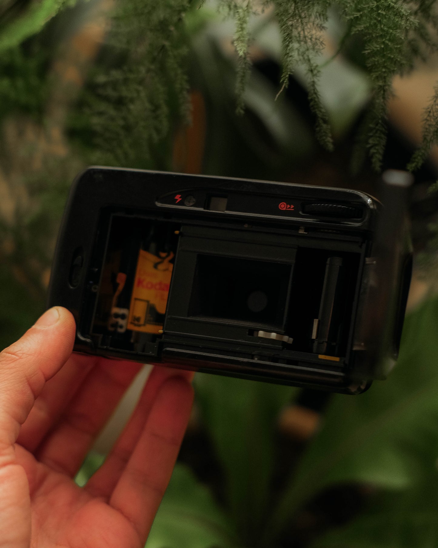 Kodak Star 275