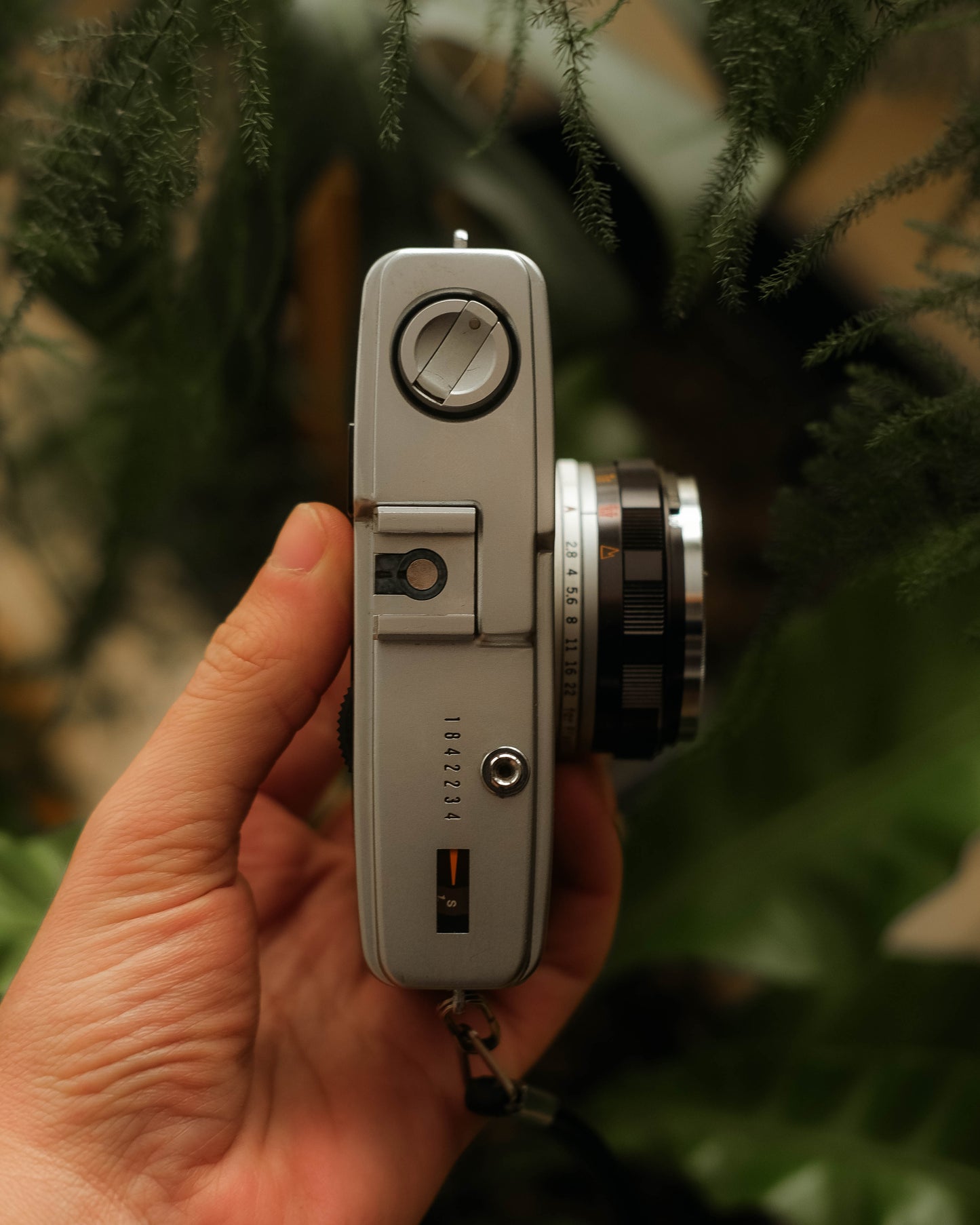 Olympus Trip 35