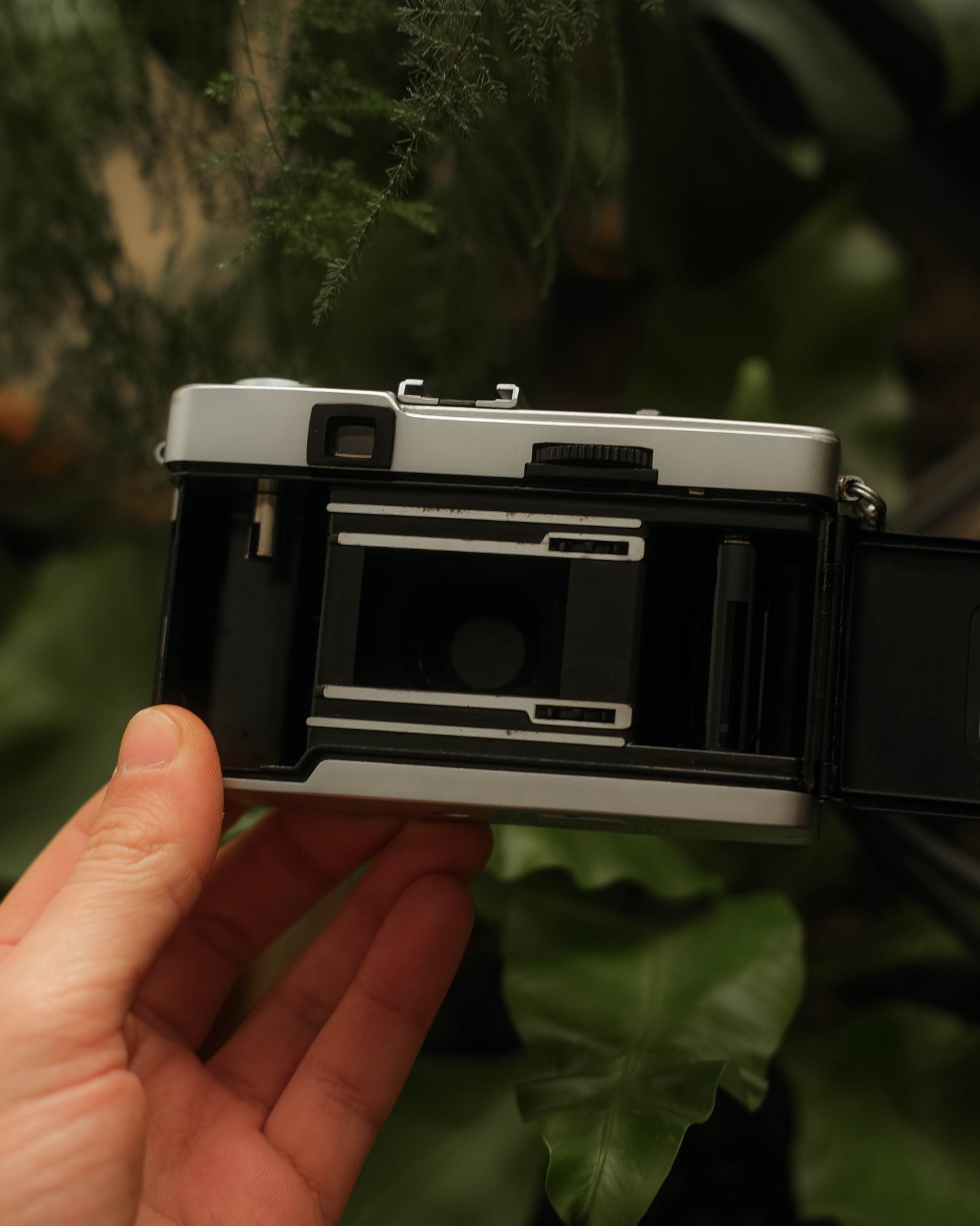 Olympus Trip 35