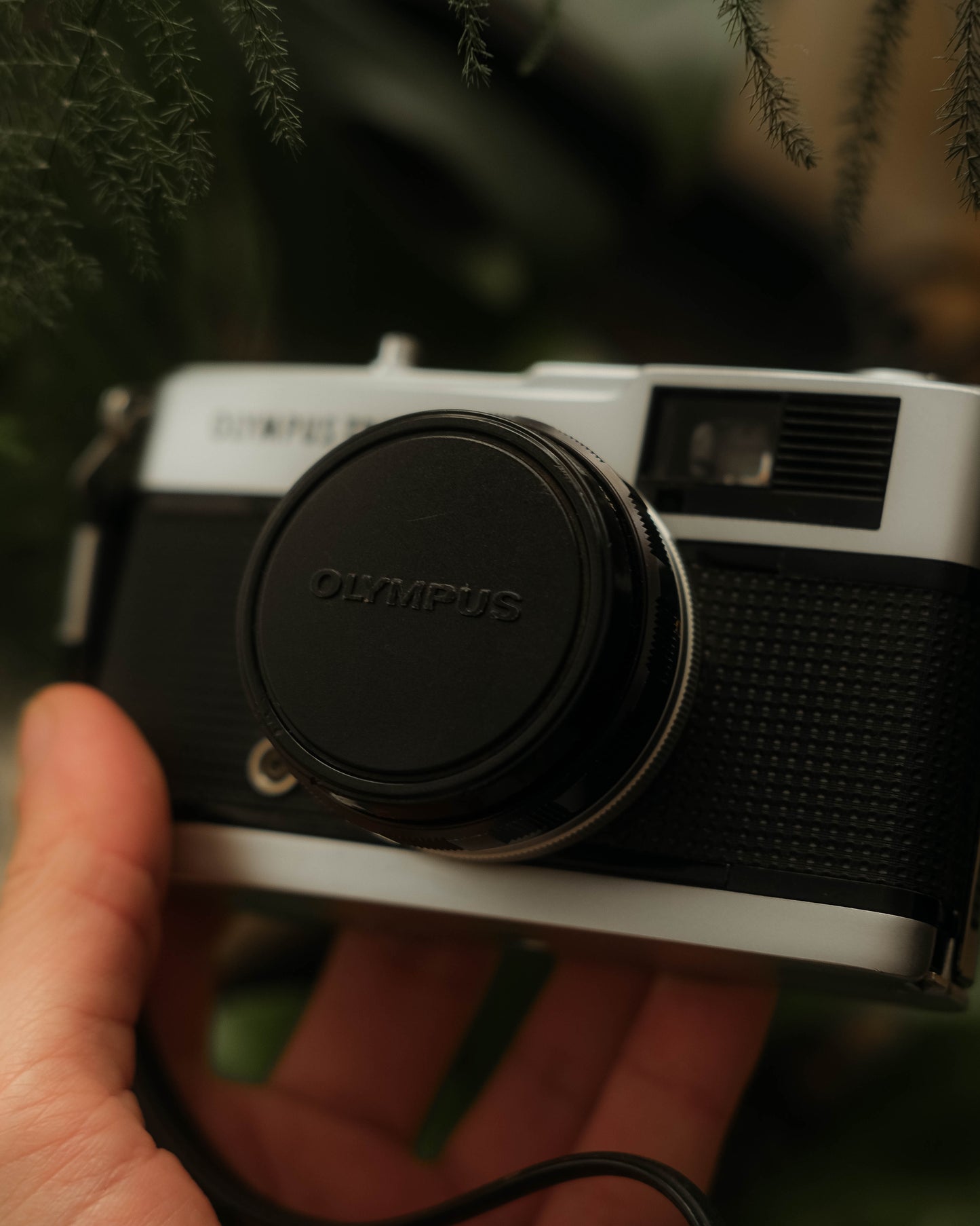 Olympus Trip 35