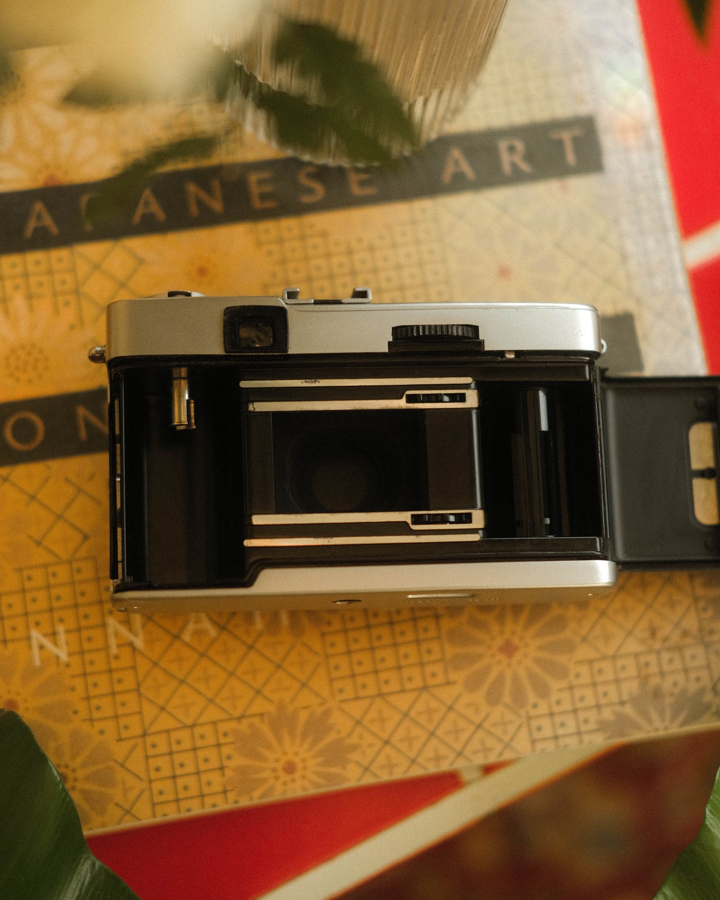 Olympus Trip 35
