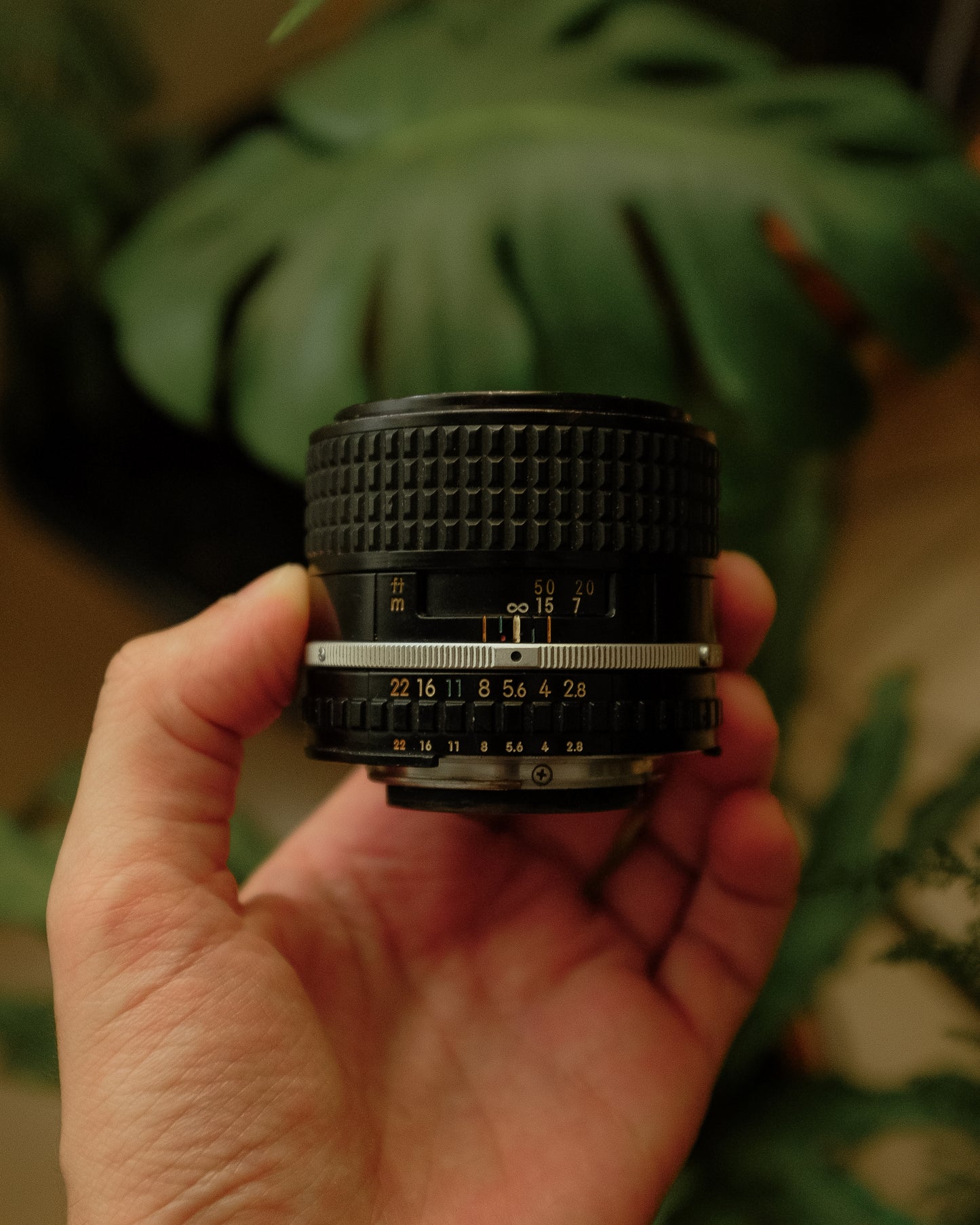 Nikon Series E 100mm 2.8