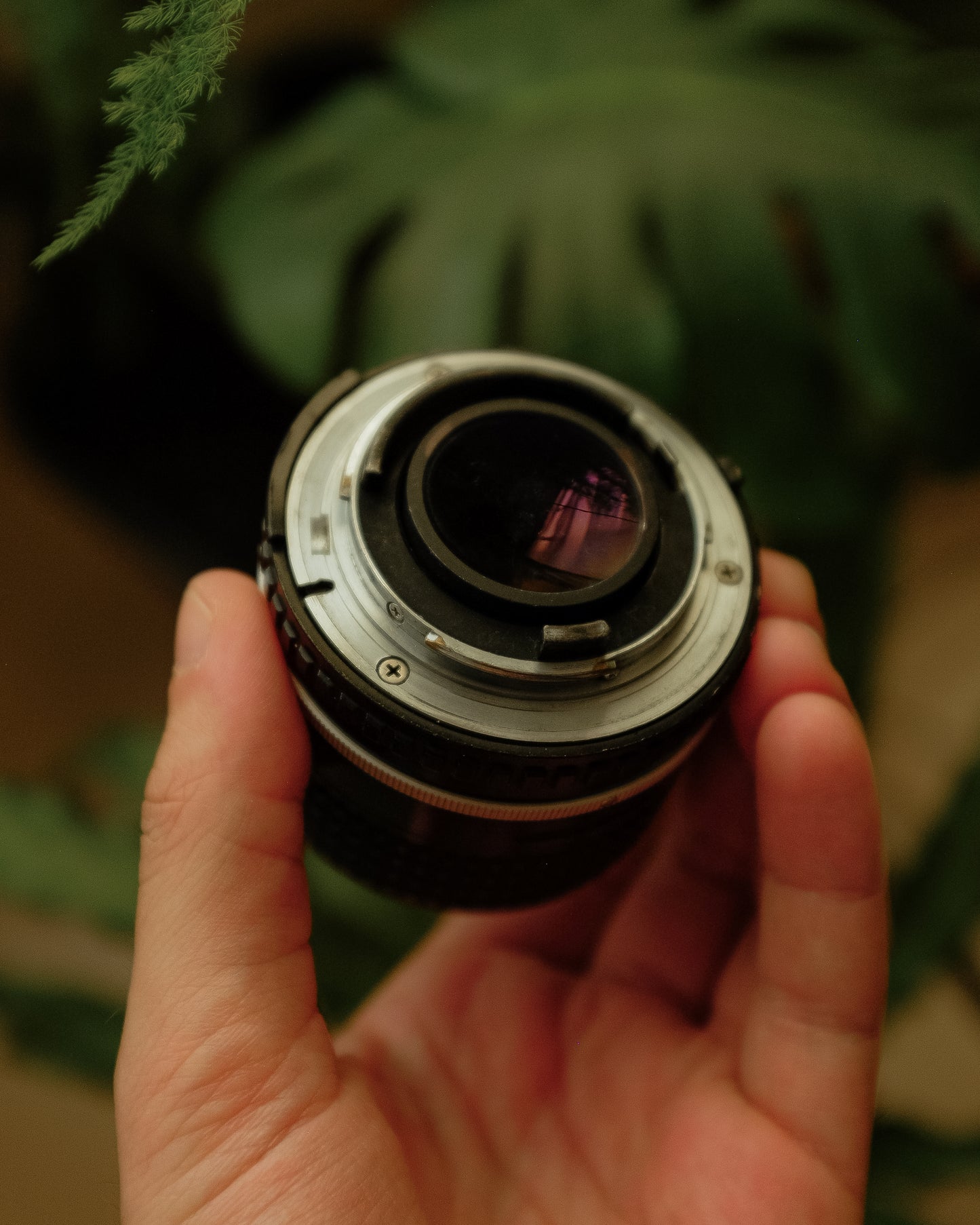 Nikon Series E 100mm 2.8