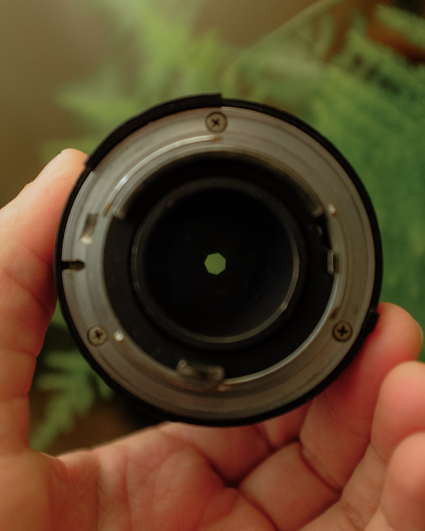 Nikon Series E 100mm 2.8