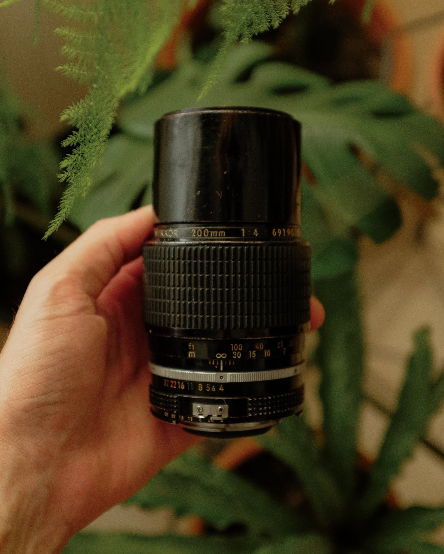 Nikkor 200mm f4 AI-S