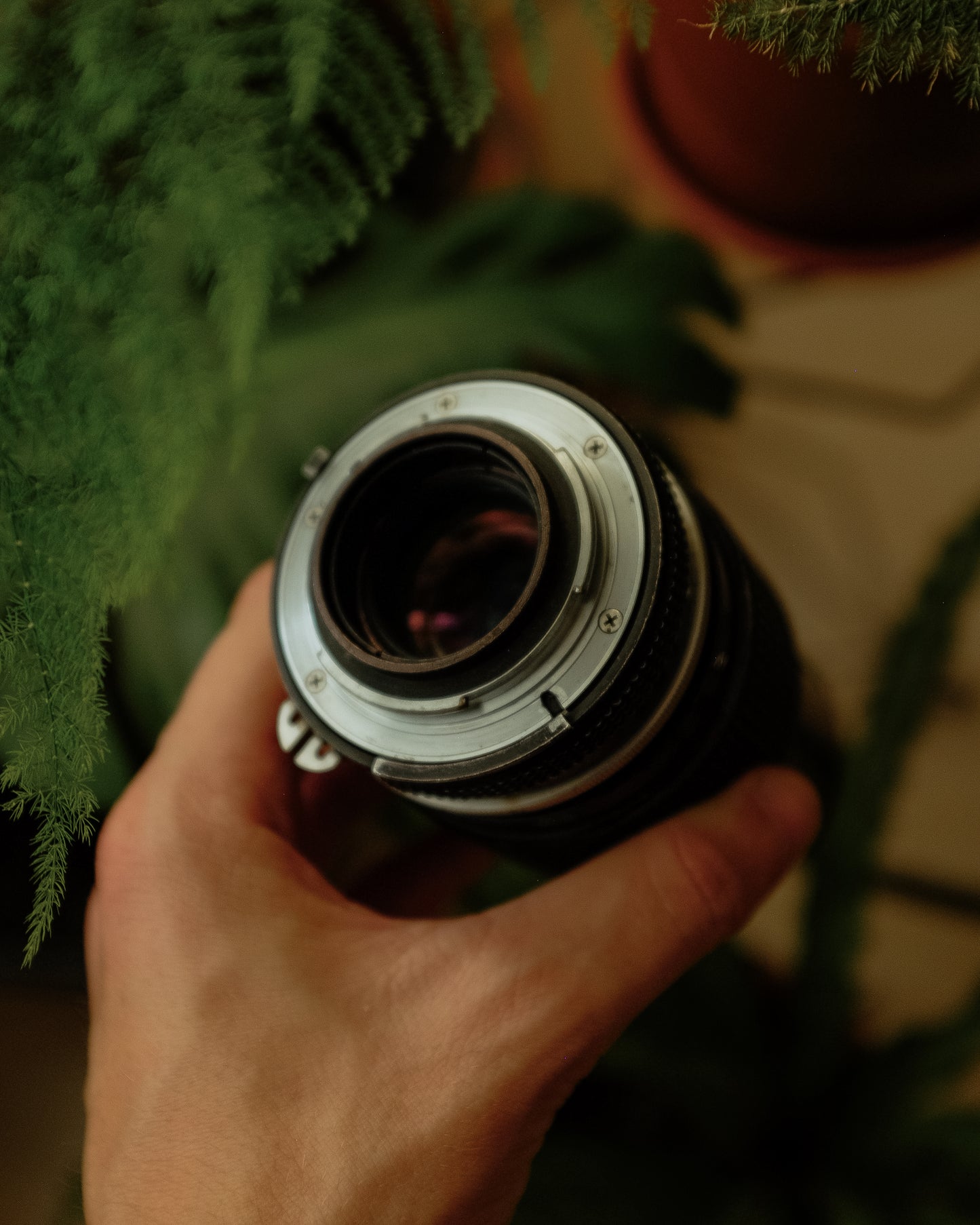 Nikkor 200mm f4 AI-S