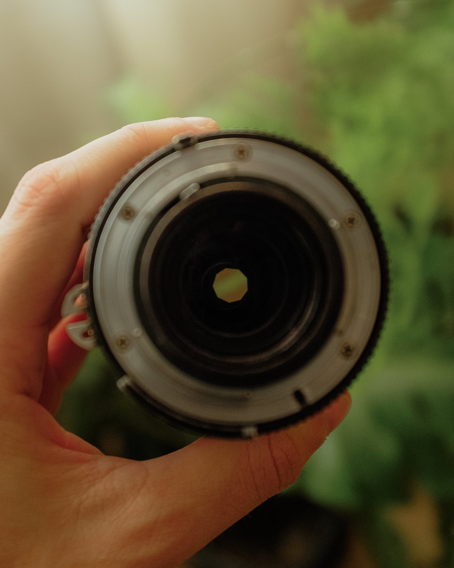 Nikkor 200mm f4 AI-S