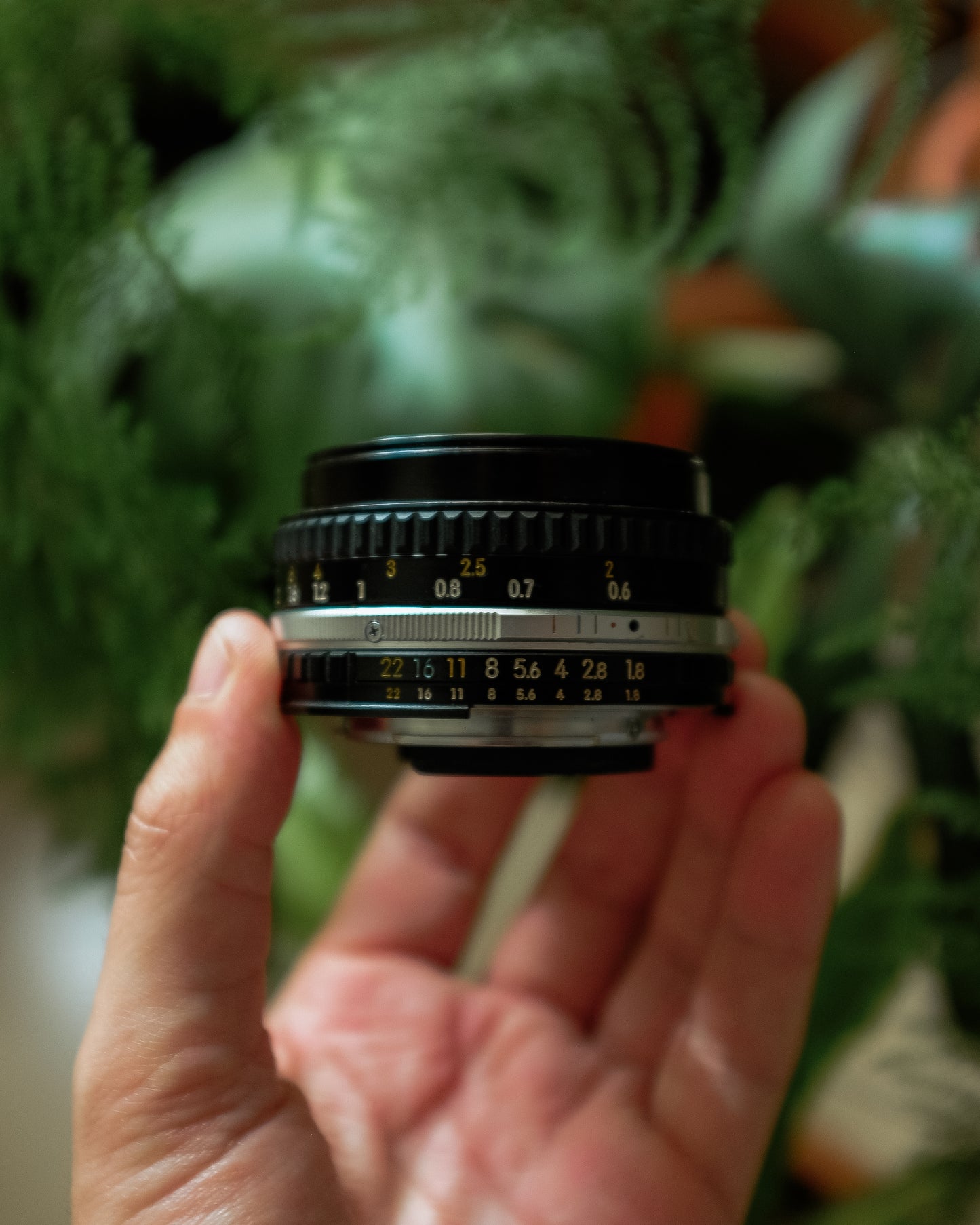 Nikon 50mm 1.8 Series E