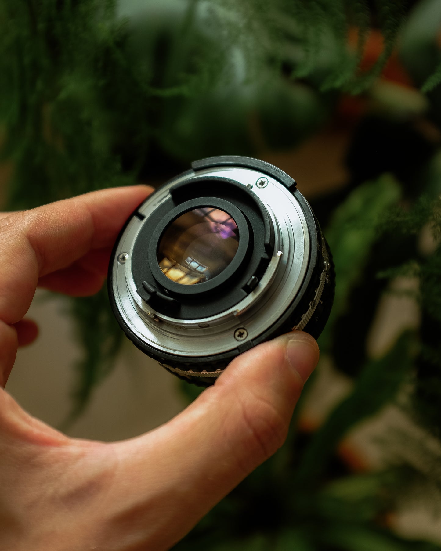 Nikon 50mm 1.8 Series E