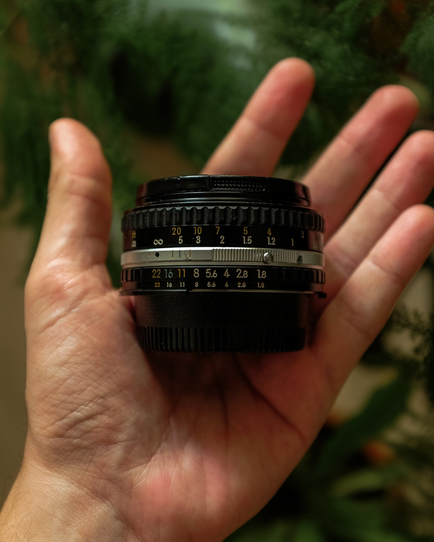 Nikon 50mm 1.8 Series E