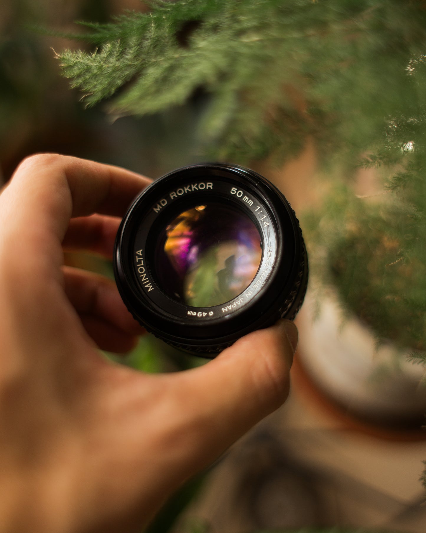 Minolta MD Rokkor 50mm 1.4