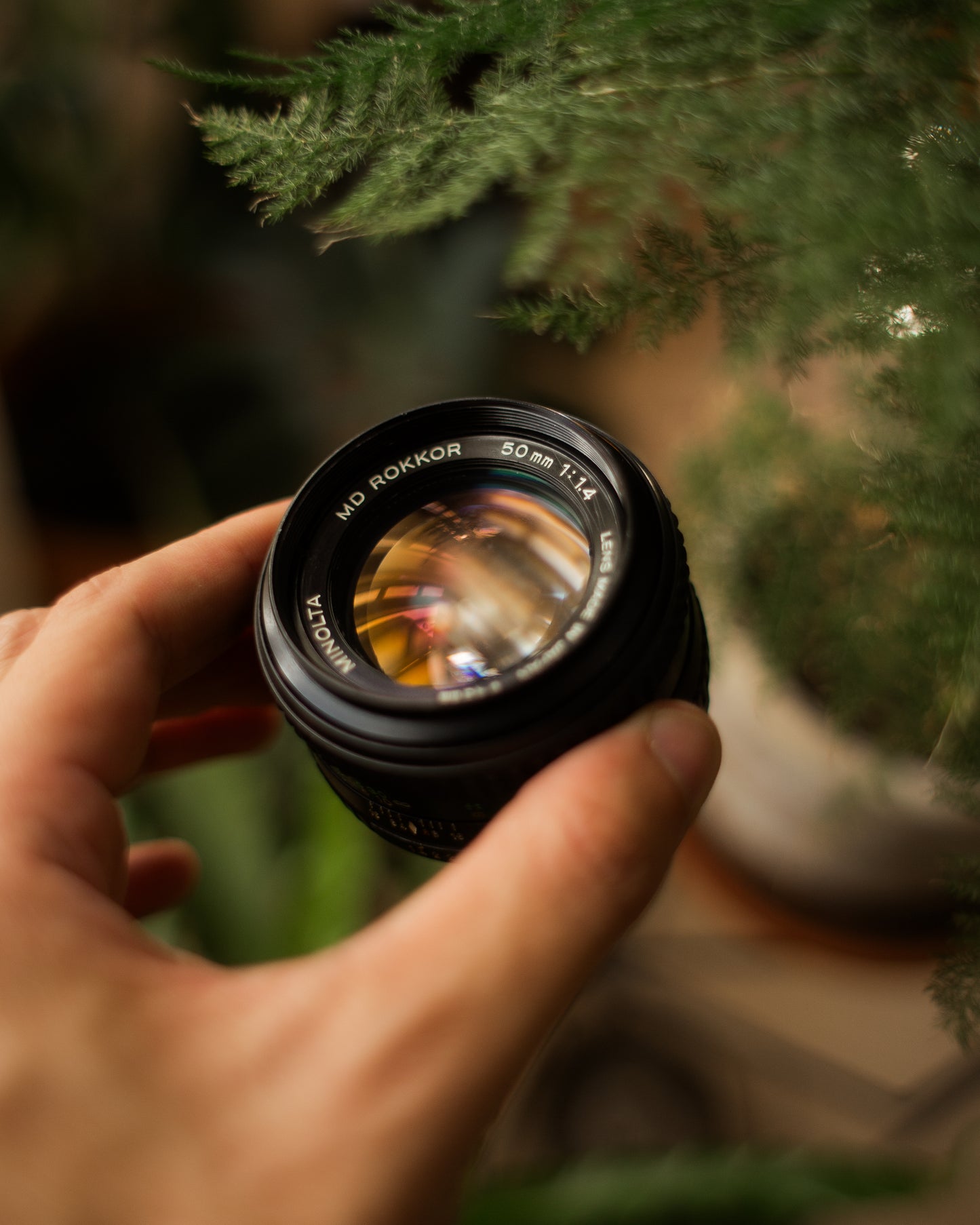 Minolta MD Rokkor 50mm 1.4