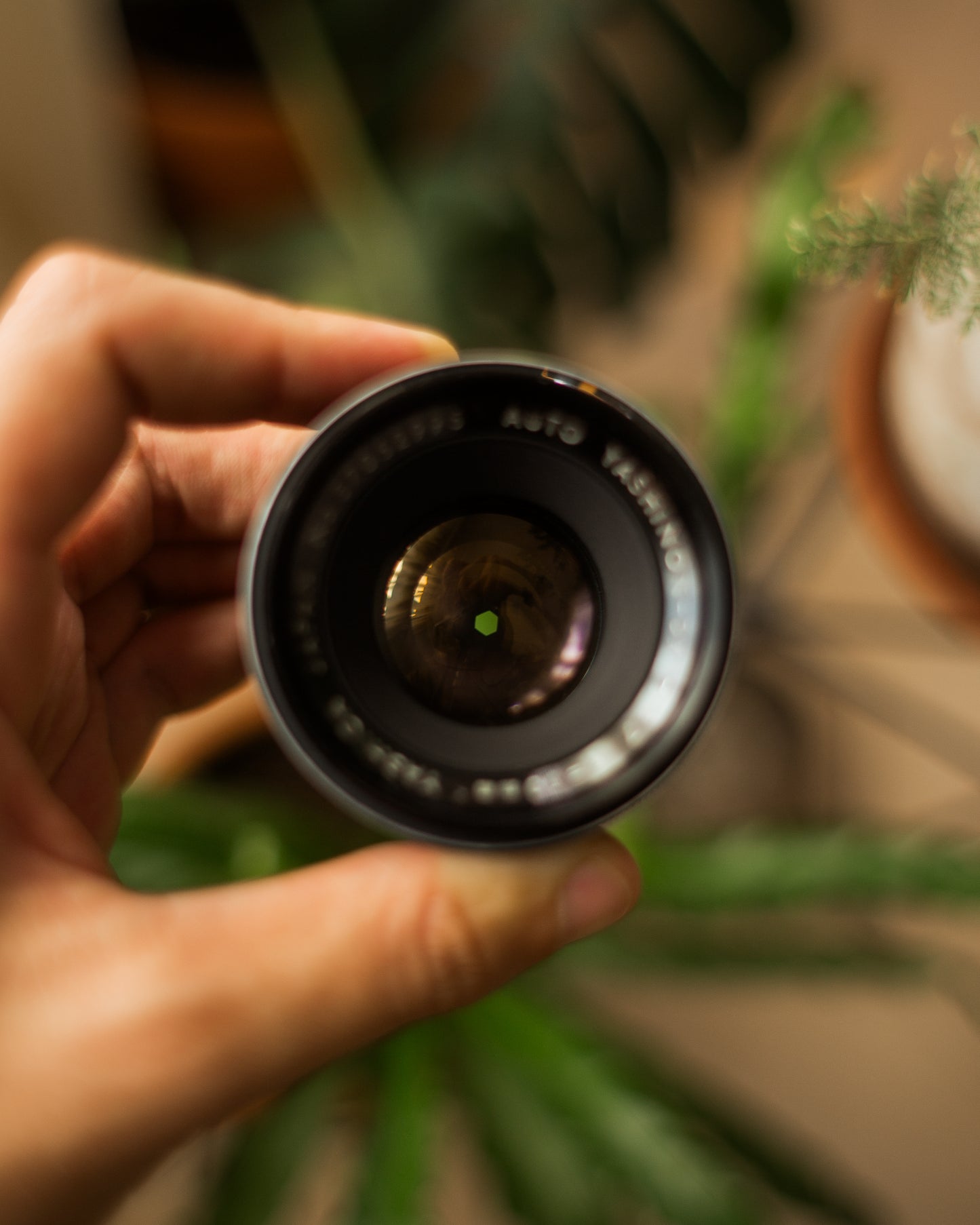 Yashinon-DX 50mm 1.7
