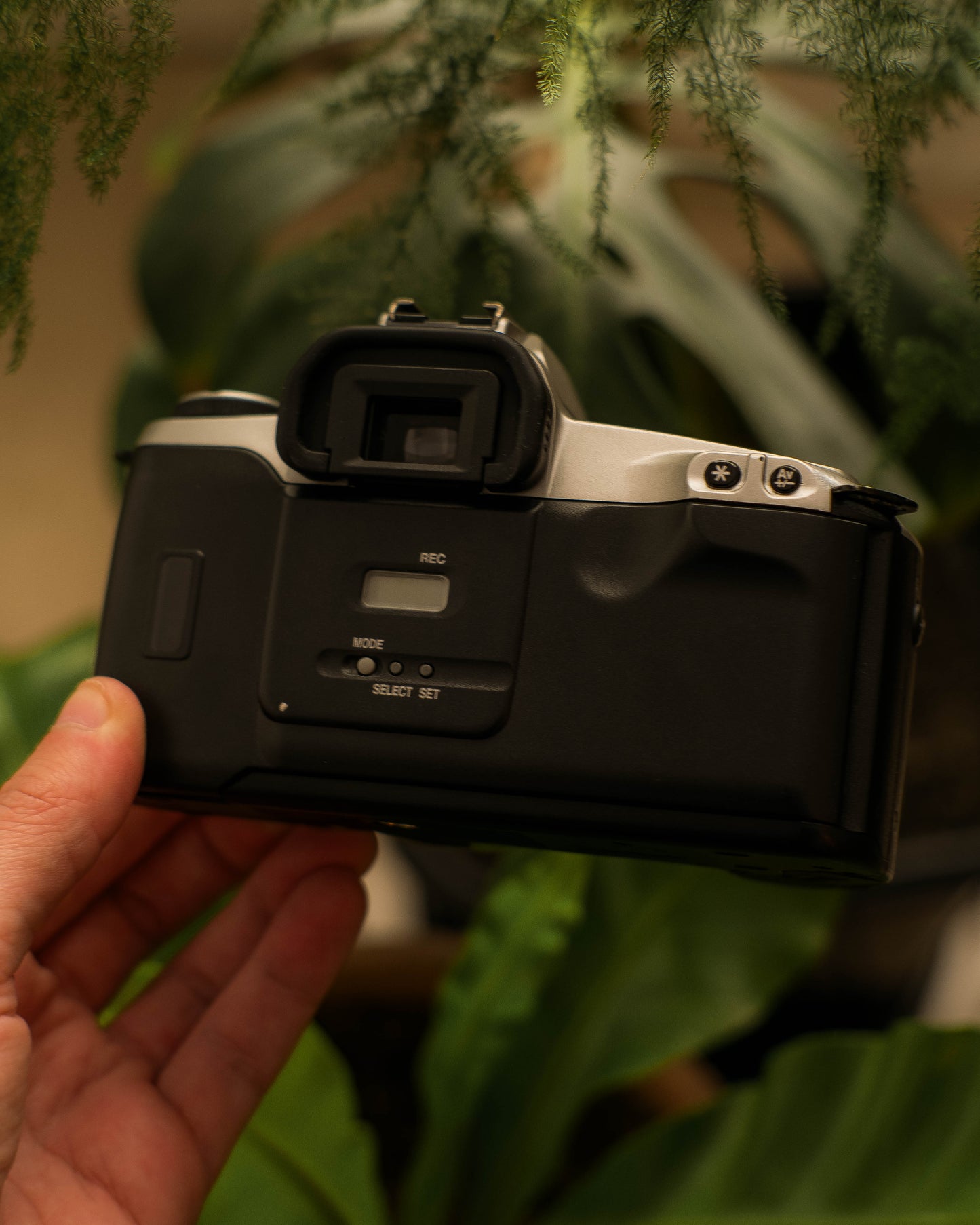 Canon EOS Rebel G (corpo)