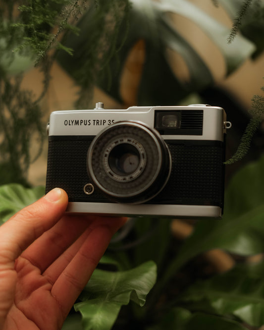 Olympus Trip 35