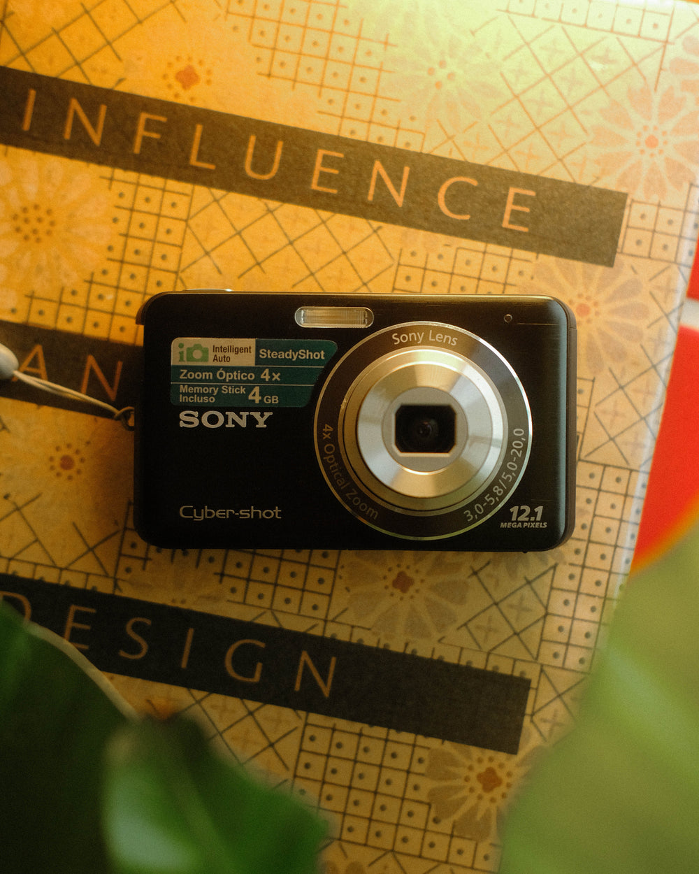 Sony Cybershot DSC-W310