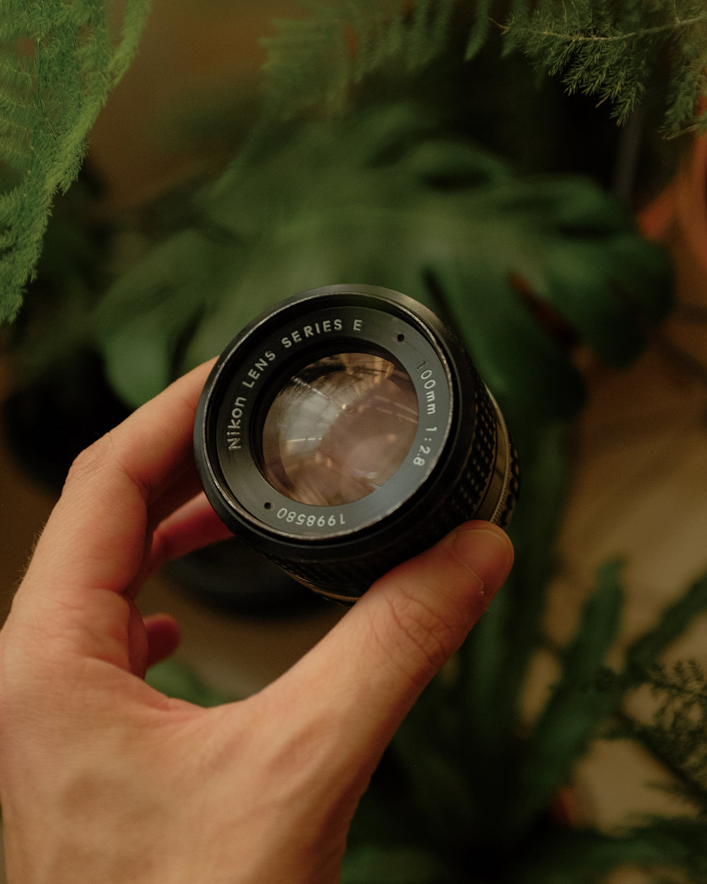 Nikon Series E 100mm 2.8