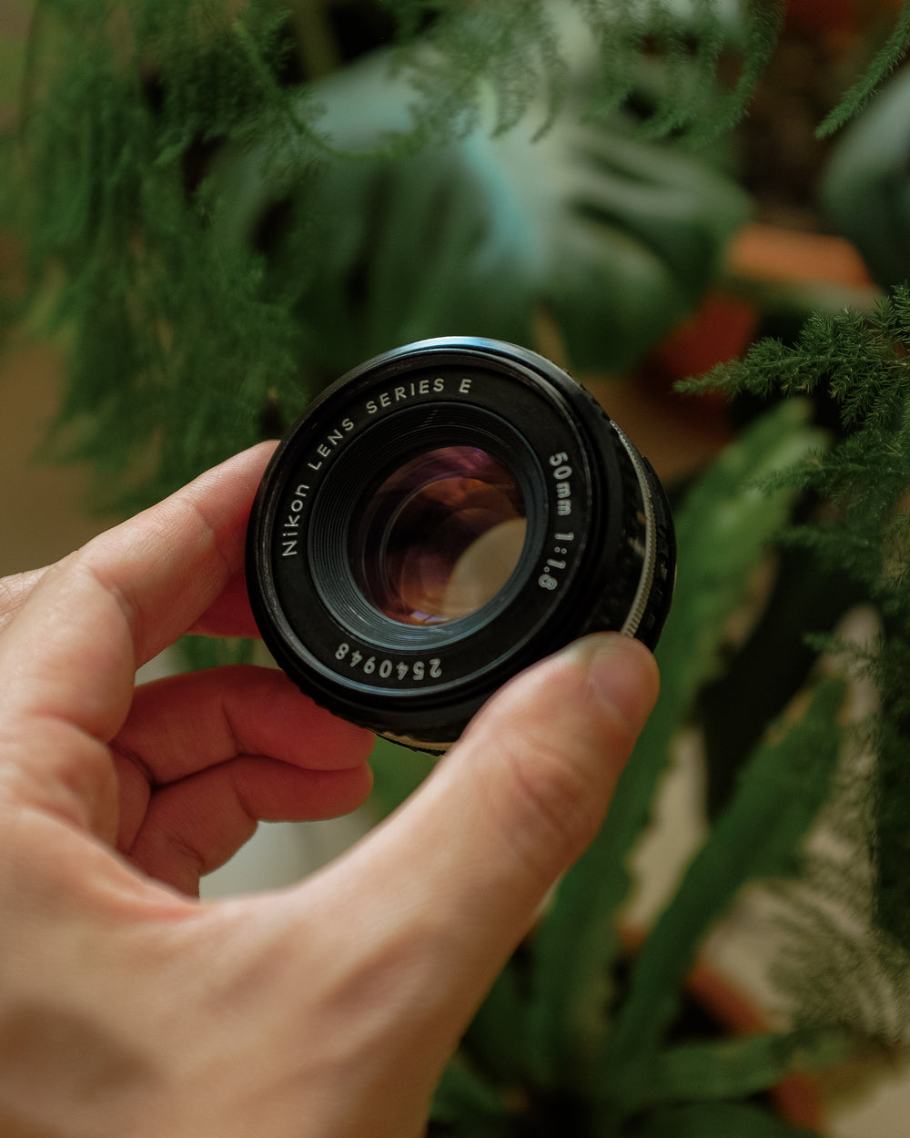 Nikon 50mm 1.8 Series E