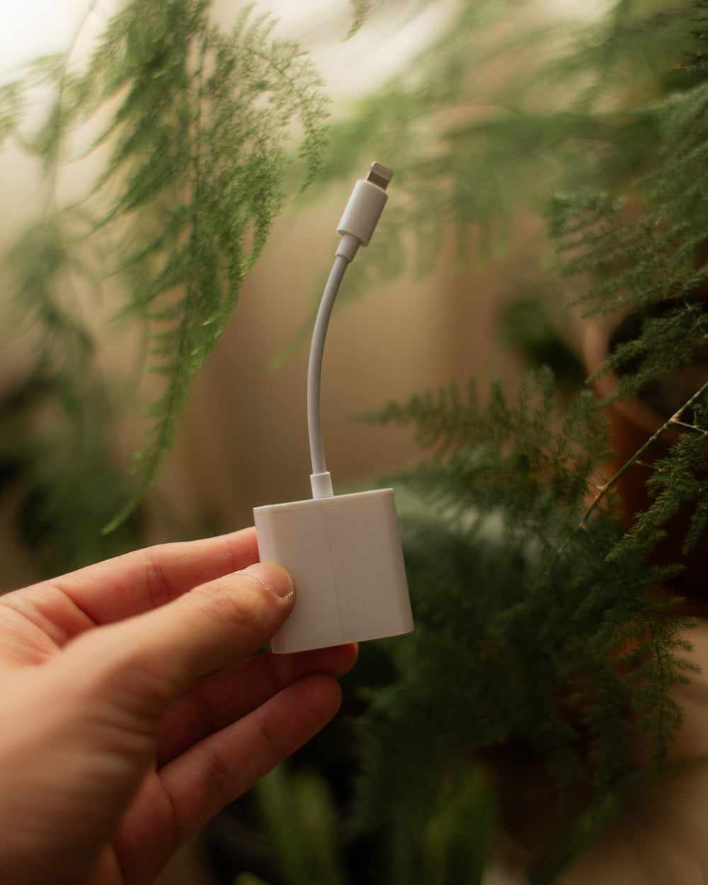 Adaptador de cartão SD para lightning